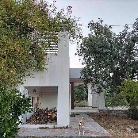 Amadeus Secluded Oasis Hosting Up To 12 فيلة Kyparíssion