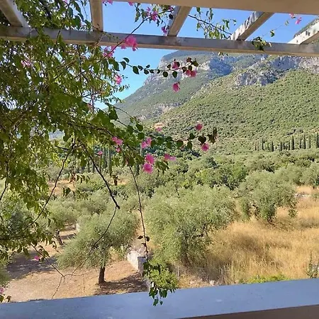 Amadeus Secluded Oasis Hosting Up To 12 فيلة *